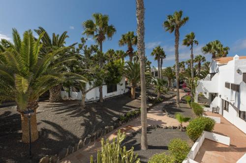 Home2Book Modern Apt with Pool in Corralejo Oasis