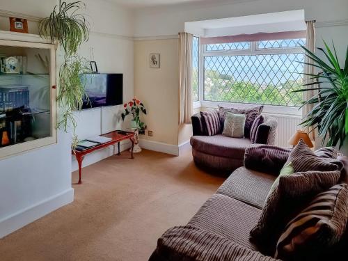 a living room with two couches and a tv at The Garden Flat in Torquay