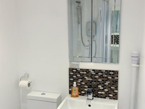 a bathroom with a toilet and a sink and a mirror at Catcleugh Bridge View in Kielder