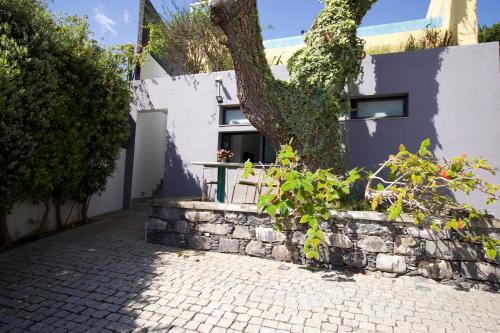 Modern Studio with Kitchen & Secure Parking in Funchal