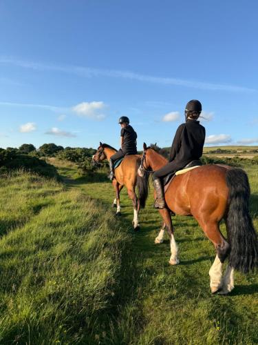 two people riding on horses in a field at The Annexe at Kirtonia in Lydford