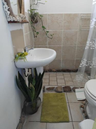 a bathroom with a sink and a toilet at La maison du Lac in Temae