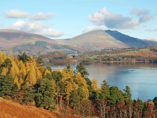 a view of a lake with trees and mountains at The Coach House in Thirlmere
