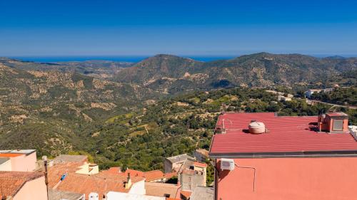 an aerial view of a town with a red roof at Sa omu de sa palgia in Jerzu
