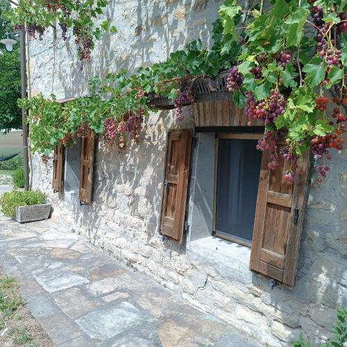 a stone building with wooden windows and grapes at Monte Bibele in Monterenzio