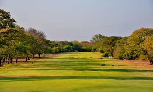 a view of a golf course with green grass and trees at Elephant Hills Resort in Victoria Falls