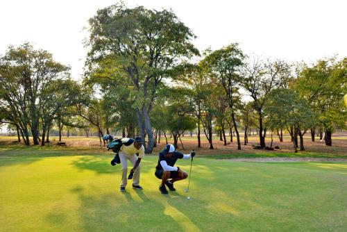 three people playing golf on a golf course at Elephant Hills Resort in Victoria Falls