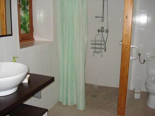 a bathroom with a shower with a sink and a toilet at Gite Périgourdin - 2 Chambres in Labrousse