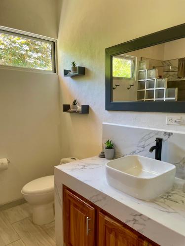 a bathroom with a sink and a toilet and a mirror at Casa de Teak in Savegre