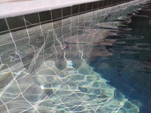 Gambar di galeri bagi Leisure Space - Refúgio com Piscina climatizada e churrasqueira di Suzano
