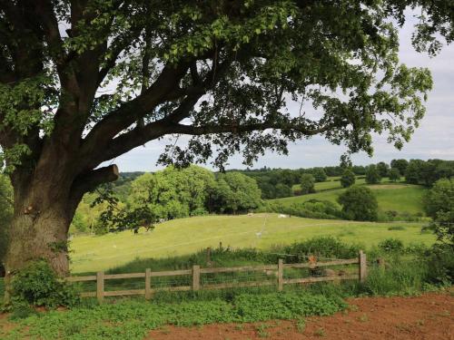 a large tree with a fence and a field at Holdenby - Ukc5323 in East Haddon