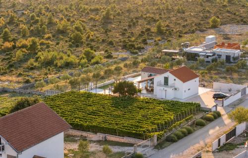 an aerial view of a vineyard and a house at Lovely Home In Krkovic in Prović