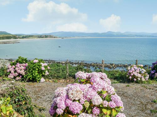 a bunch of pink flowers in front of a body of water at Morlais in Criccieth