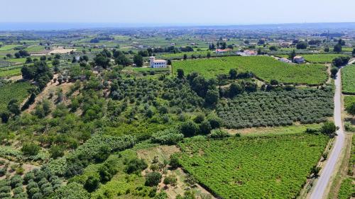 an aerial view of a field with a road at Charming Boutique B&B Hotel in Villalfonsina