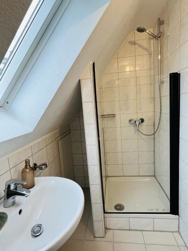 a bathroom with a shower and a sink at Seebachstuben - gemütliche Mehrzimmerapartments in Dechsendorf in Erlangen