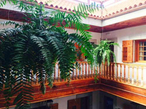 a group of plants sitting on a balcony at Il Sogno di Gio de la Laguna in La Laguna