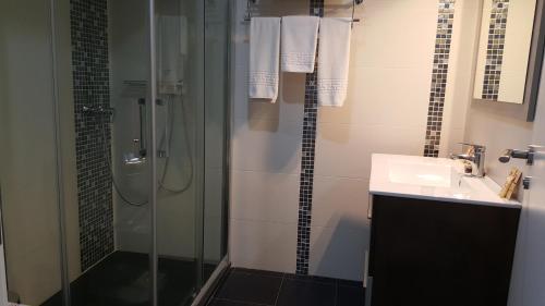 a bathroom with a shower and a sink at Alojamiento Nohal in La Iruela