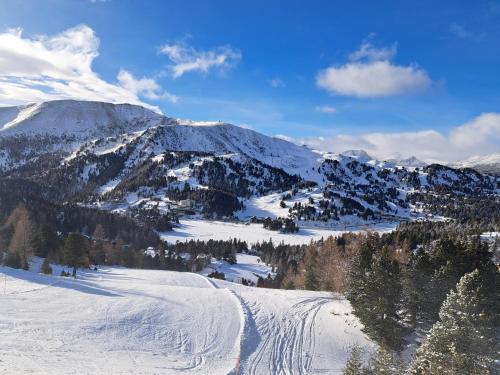 Fotografie z fotogalerie ubytování Schwabenhütte v destinaci Sirnitz-Sonnseite