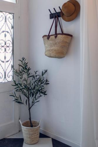a plant in a pot next to a door with a basket at Villa Elisabetta Lago Maggiore in Belgirate