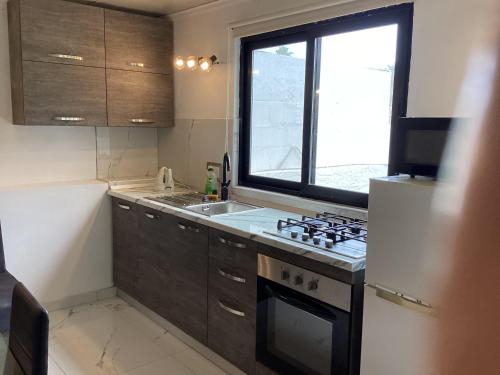 Kuchyň nebo kuchyňský kout v ubytování Whitestar Guesthouse