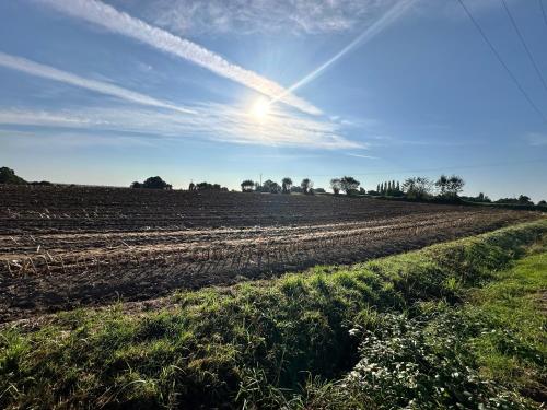 un campo di terra con il sole nel cielo di Renovated French Country Bungalow for Two - A Home for Your Next Holiday a Hercé