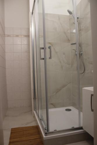 a shower with a glass door in a bathroom at ABC Homestay in Golčŭv Jeníkov