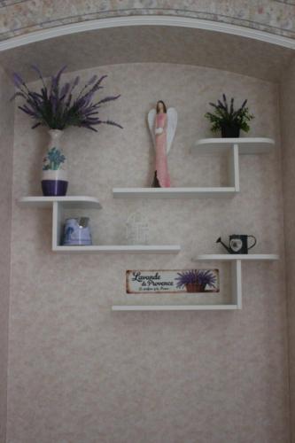 two shelves on a wall with potted plants at ABC Homestay in Golčŭv Jeníkov