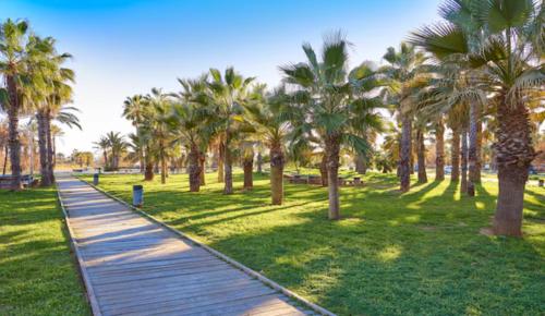 un chemin en bois dans un parc avec des palmiers dans l'établissement Golf & Playa a 1 min, à Grao de Castellón