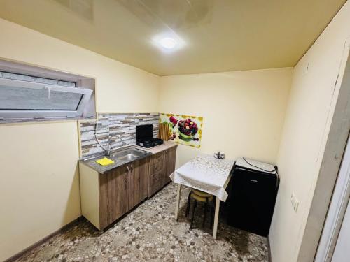 une petite cuisine avec un évier et une table dans l'établissement Buddy Apartment Borjomi, à Bordjomi