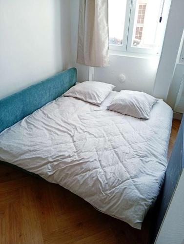 a bed with two pillows on it in a room at Topaze - En plein coeur de la ville Dijon in Dijon