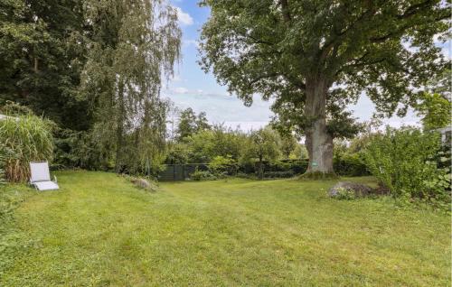 a chair sitting in the grass under a tree at Cottage in Gransee