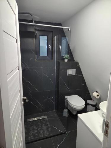 a bathroom with a toilet and a sink at A-frame Muchia Scortii in Şimon