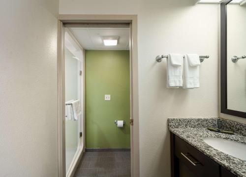 a bathroom with a shower and a sink and a mirror at SureStay by Best Western Summerville Flowertown in Summerville