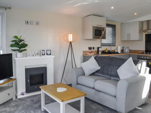 a living room with a couch and a fireplace at Lodge 42 Bridlington Holiday Park - Uk48213 in Carnaby