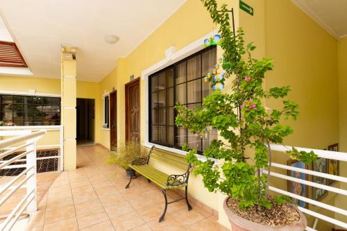 a porch with a green bench and a plant at Hotel Playa Bonita Tela in Tela