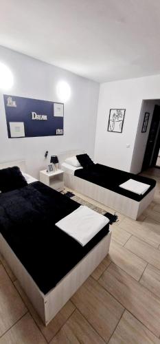 a room with three beds in a room at Hotel Jolie in Brazii de Sus