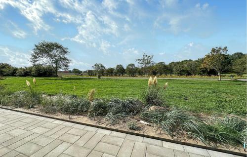 a field of grass with plants in the middle at 3 Bedroom Amazing Home In Nexø in Neksø