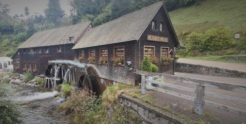 a building next to a river with a bridge at Alpina Löwen Hotel in Sankt Märgen