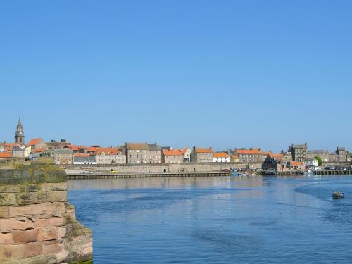 a view of a river with a city in the background at Number Twenty-Nine in Berwick-Upon-Tweed