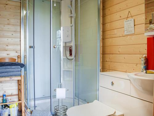 a bathroom with a shower and a toilet and a sink at Moonlight View - Uk35187 in Newtown