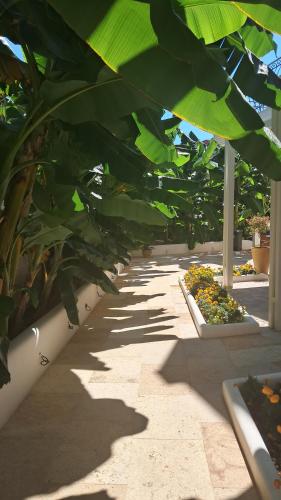 Fotografie z fotogalerie ubytování Villa Chrisanthi v destinaci Parga