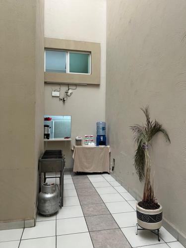 a hallway with a table and a potted plant at Hotel Bamboo Sauces Morelia in Morelia