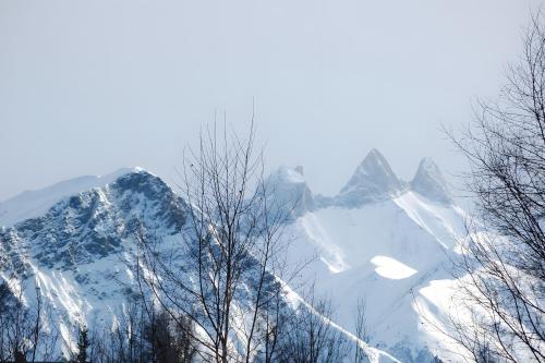 Příroda nedaleko chaty