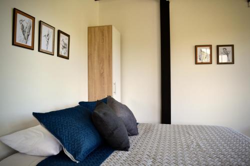 a bedroom with a bed with blue pillows on it at Cabaña del lago con Jacuzzi in Rionegro