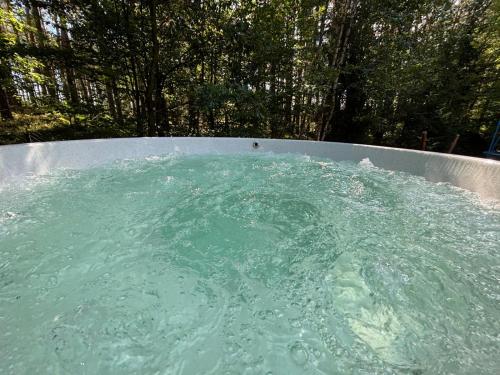 a pool of green water in a metal tub at Hajerówka in Lubliniec