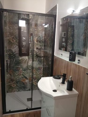 a bathroom with a shower and a sink at Casa vacanze dell' Abbaddu 3 in Sassari