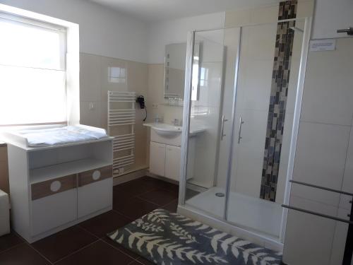a bathroom with a glass shower and a sink at Ferienhaus Ferienhof Behnke in Süssau
