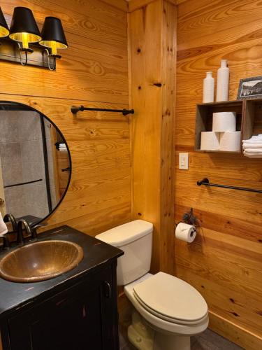 ein Badezimmer mit Toilette, Waschbecken und Spiegel in der Unterkunft Hearth and Timber - A Black Mountain Retreat in Black Mountain