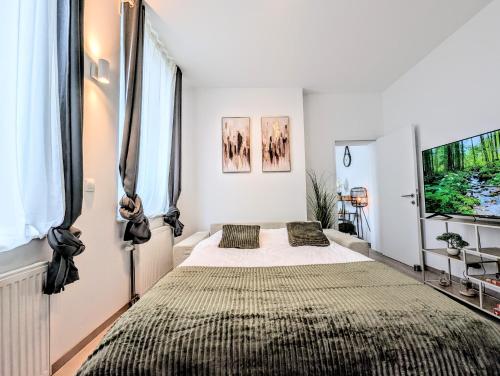 a bedroom with a large bed in a room with windows at Casa Lairesse in Liège