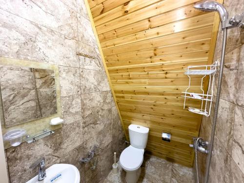 a bathroom with a toilet and a sink at Qafqaz Riverside Chalet in Gabala